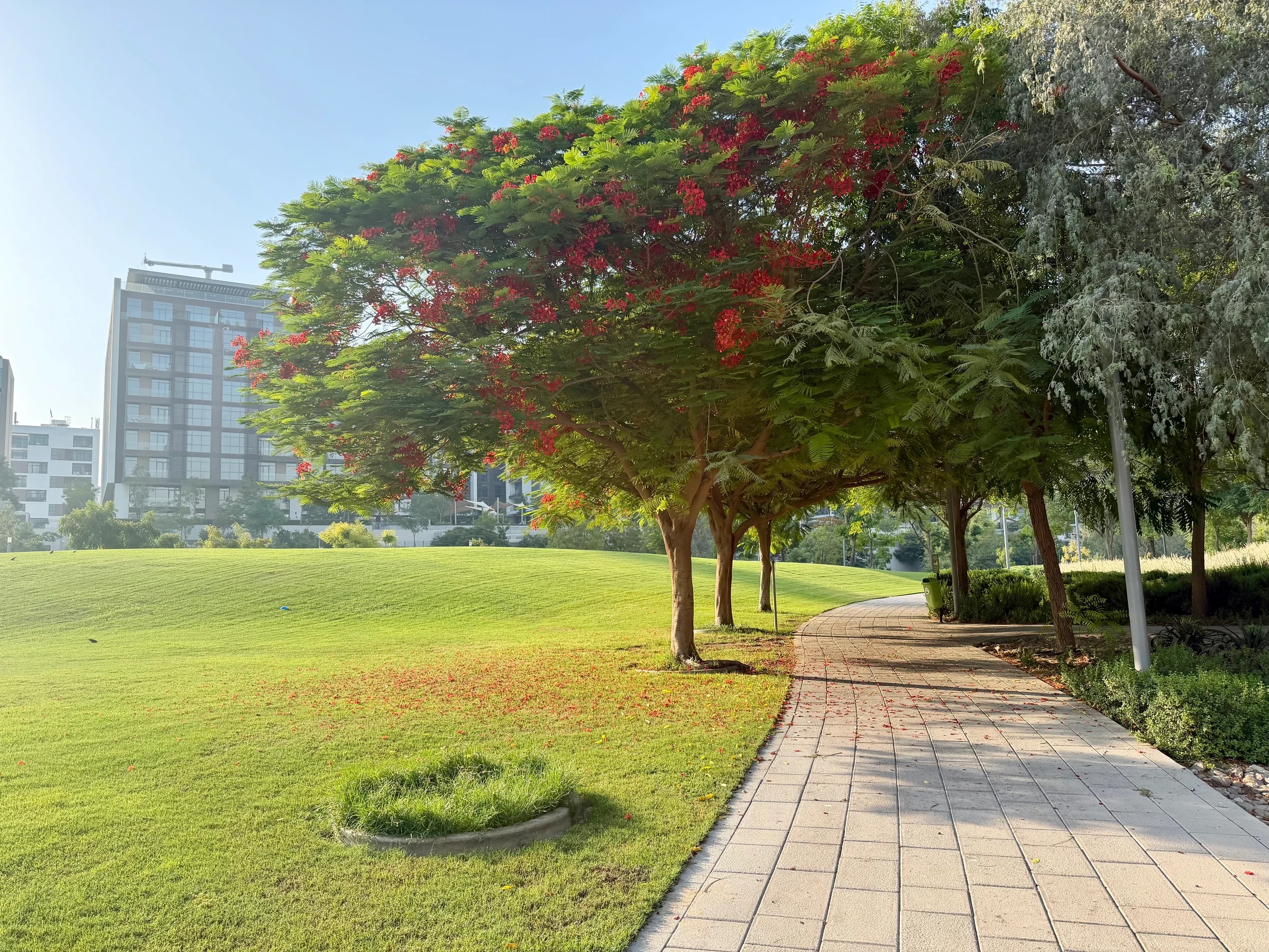 Dubai Hills Park - Emaar photo 3