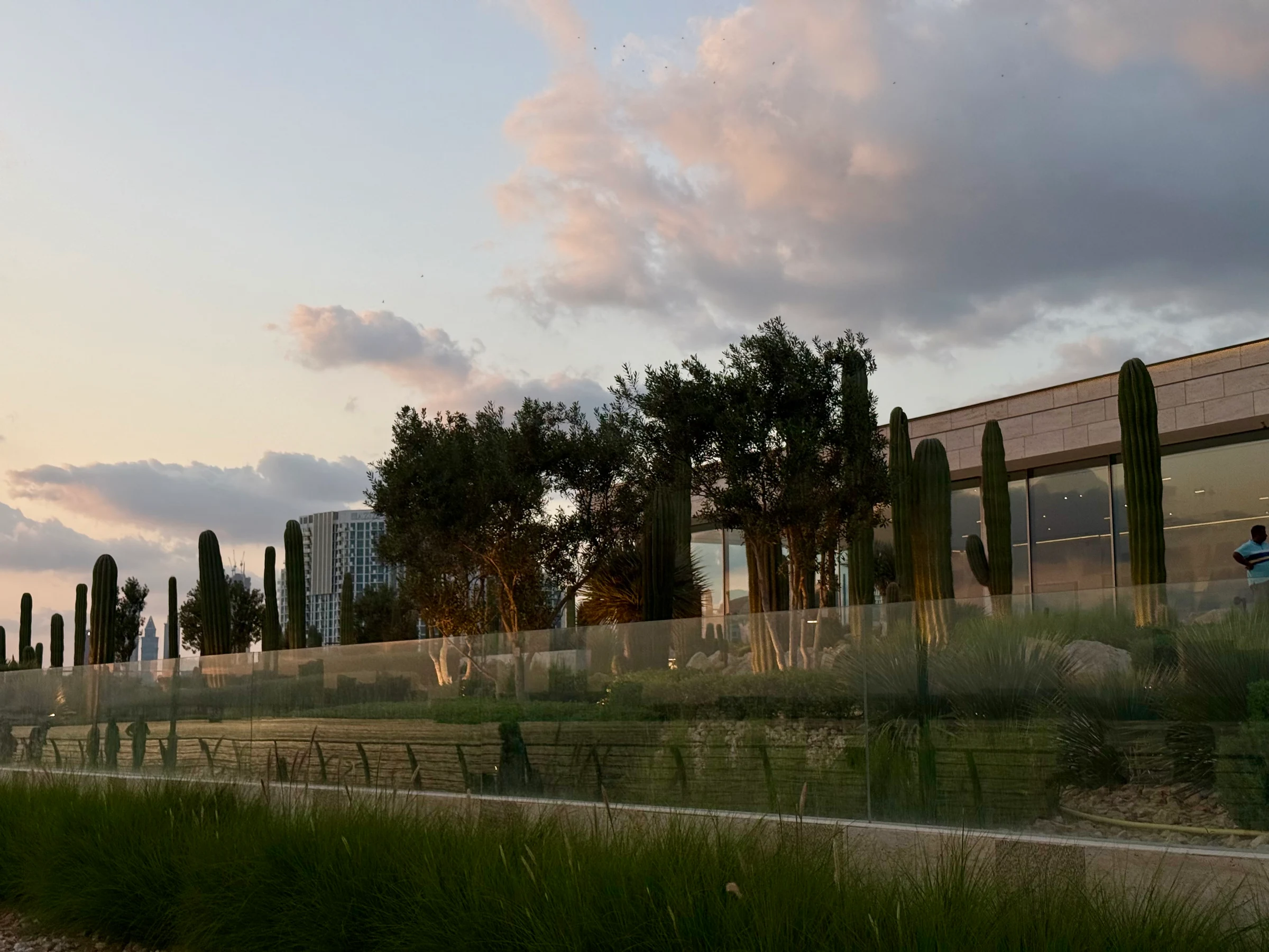 Al Jaddaf Walk / Cactus Park photo 3