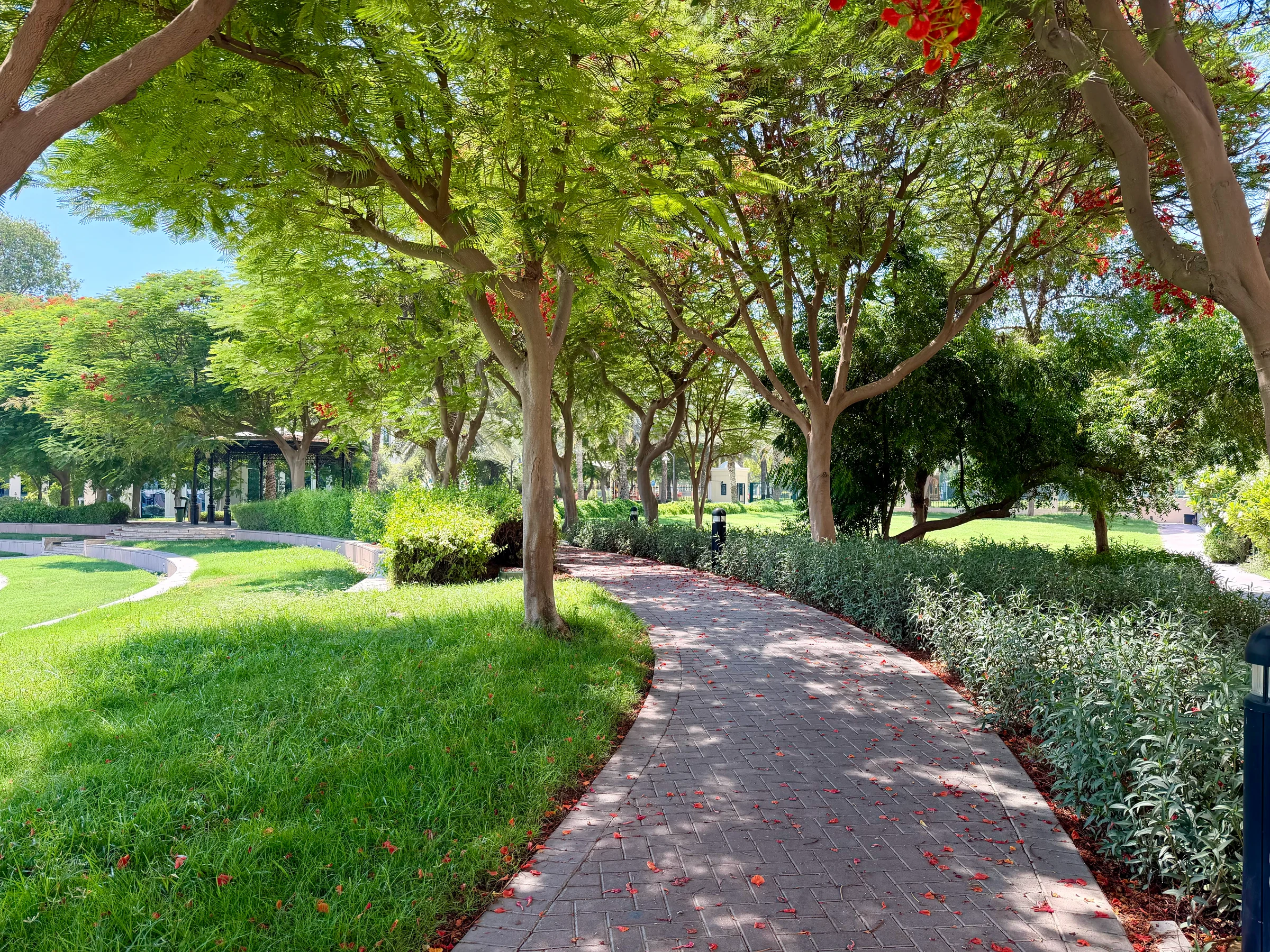 Green Community East Park photo 3