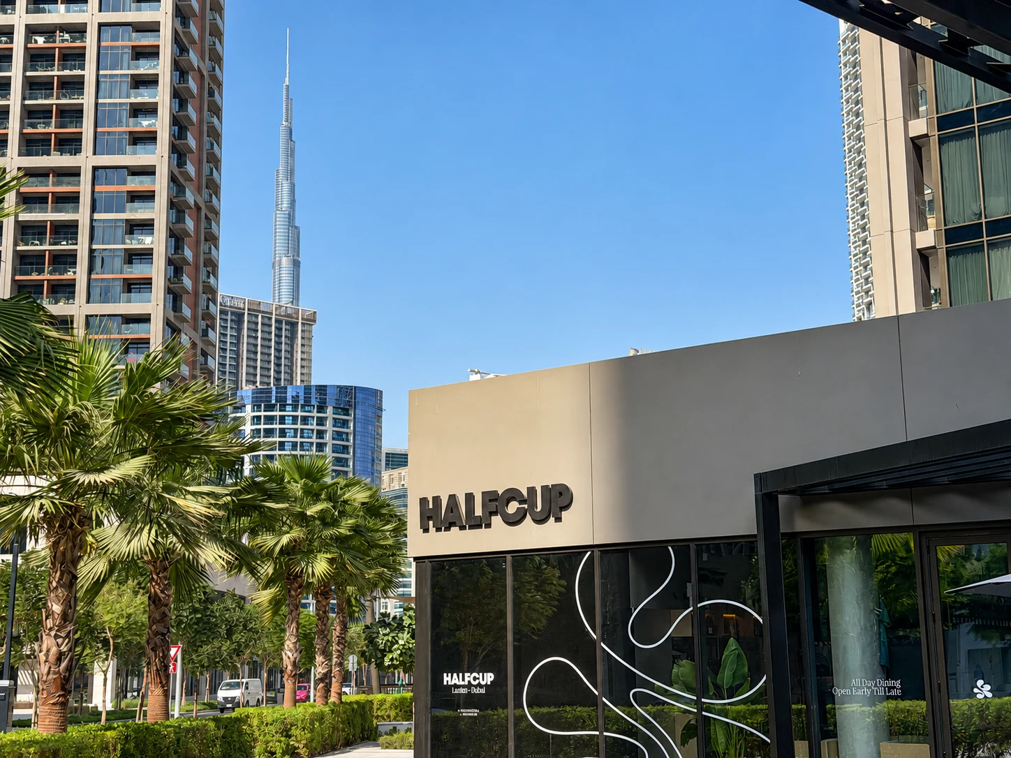 HALFCUP photo 1